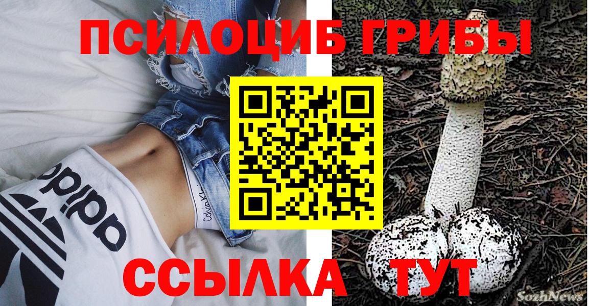 Благодарный  Галлюциногенные грибы GOLDEN TEACHER  Галлюциногенные грибы GOLDEN TEACHER  Вход с VPN 